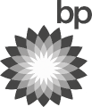 bp logo